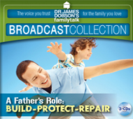 A Father’s Role: Build–Protect–Repair (3 CD Set) Product Photo